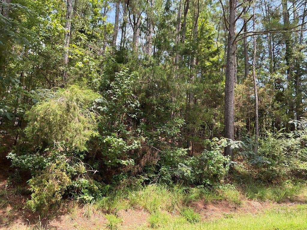 Photo of OXFORD, MS 38655 (MLS # 168021)