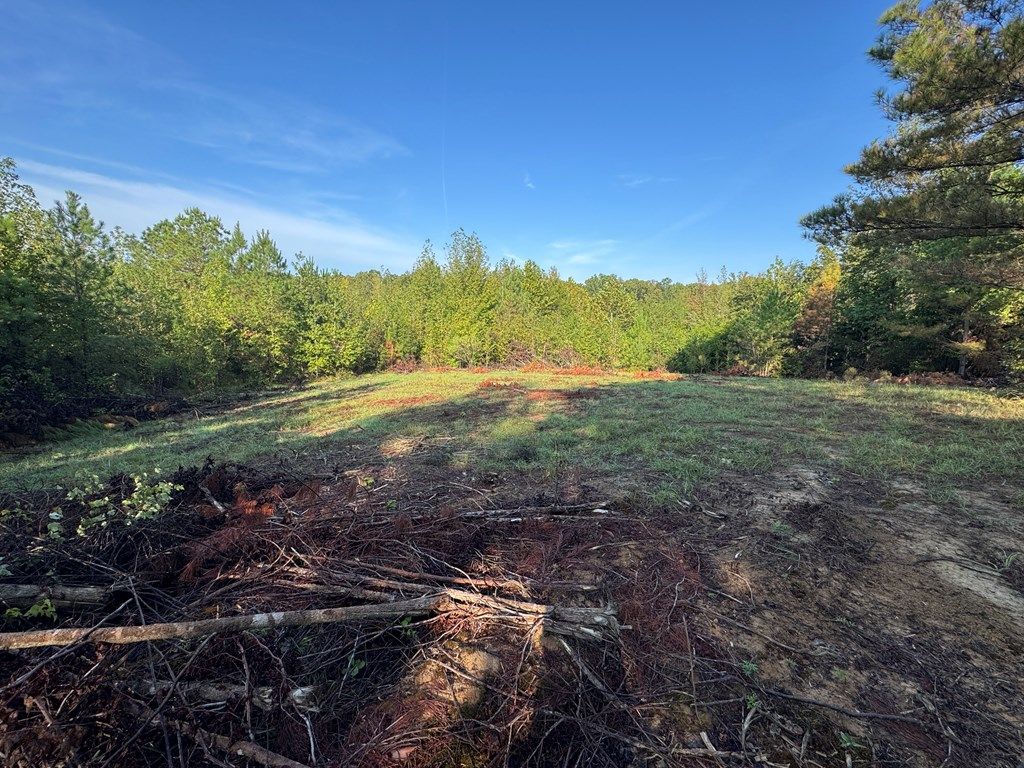 Photo of 00 Cr 367, OXFORD, MS 38655 (MLS # 161765)