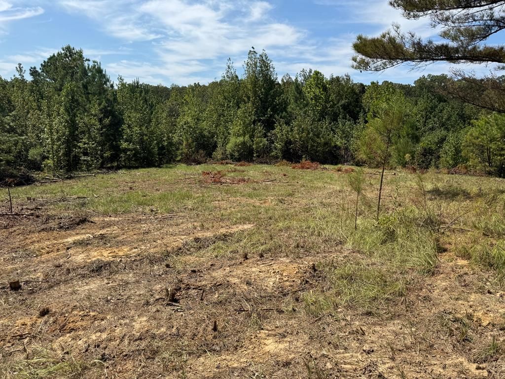 Photo of 00 Cr 367, OXFORD, MS 38655 (MLS # 161765)