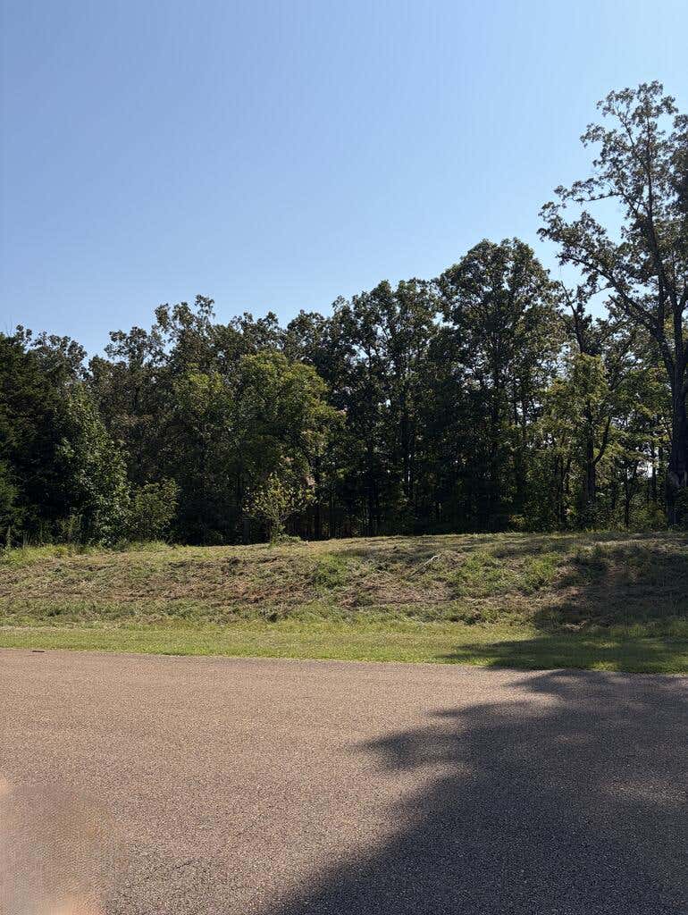 Photo of OXFORD, MS 38655 (MLS # 168198)