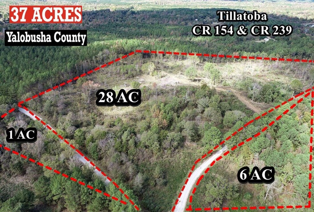 Photo of tbd Cr 154, TILLATOBA, MS 38961 (MLS # 167817)