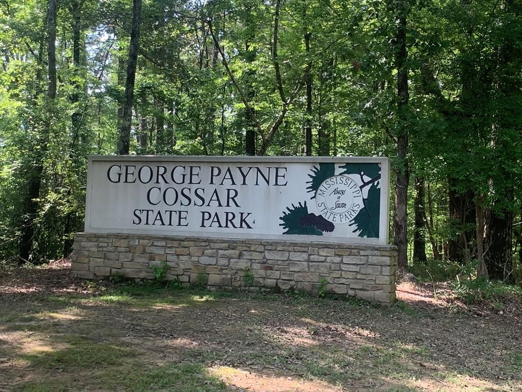 Photo of Lot 13 Cr 179, OAKLAND, MS 38948 (MLS # 162328)