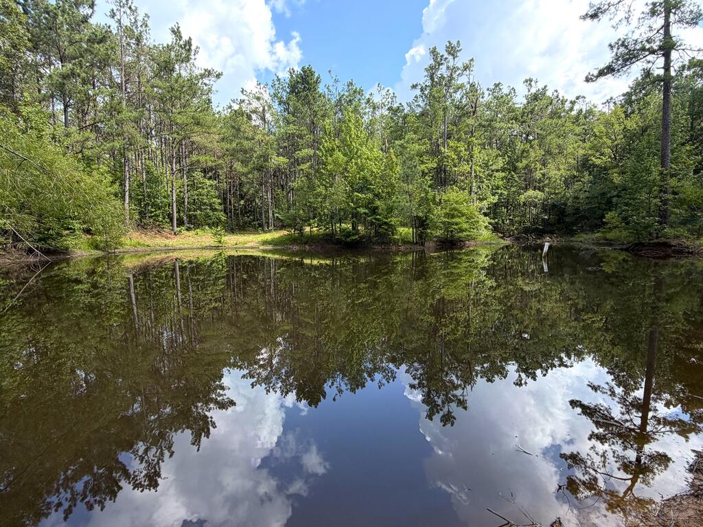Photo of WATERFORD, MS 38685 (MLS # 168228)