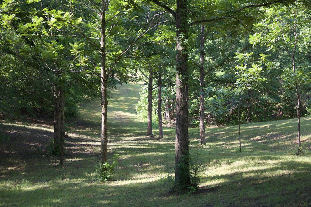 Photo of WATERFORD, MS 38685 (MLS # 168228)