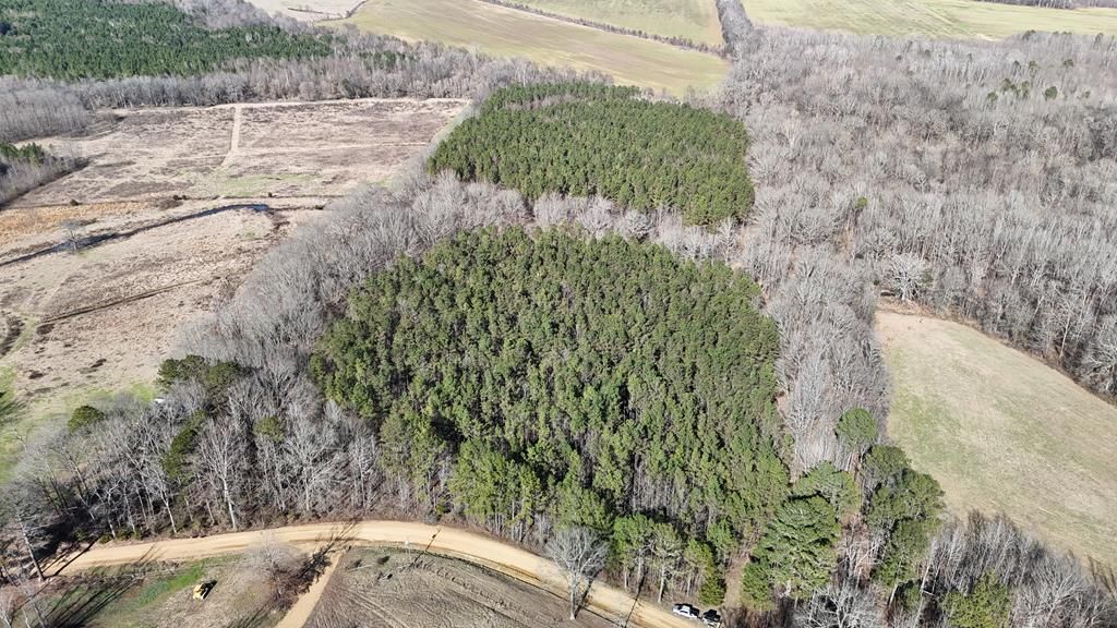 Photo of 00 Happy Hollow Road, HOUSTON, MS 39776 (MLS # 164484)