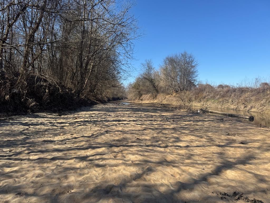 Photo of 00 Happy Hollow Road, HOUSTON, MS 39776 (MLS # 164484)