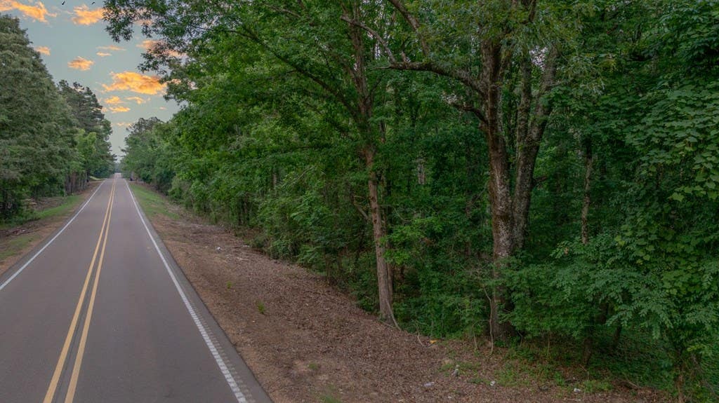 Photo of COURTLAND, MS 38620 (MLS # 167508)
