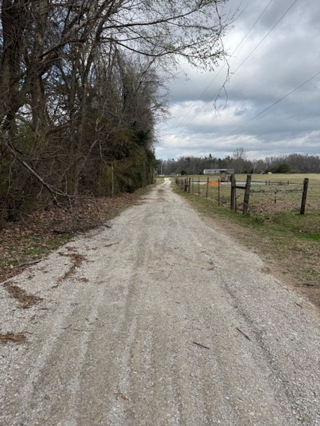 Photo of 505 Spain Road, ECRU, MS 38841 (MLS # 166828)