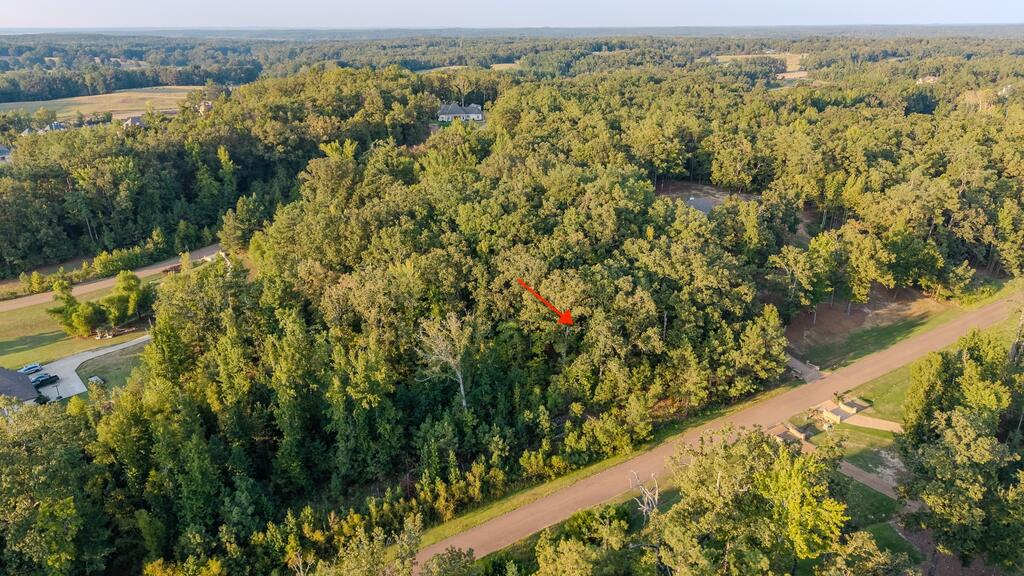 Photo of OXFORD, MS 38655 (MLS # 168406)