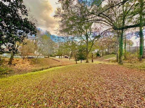 Photo of 904 Cleveland Avenue, OXFORD, MS 38655 (MLS # 162172)