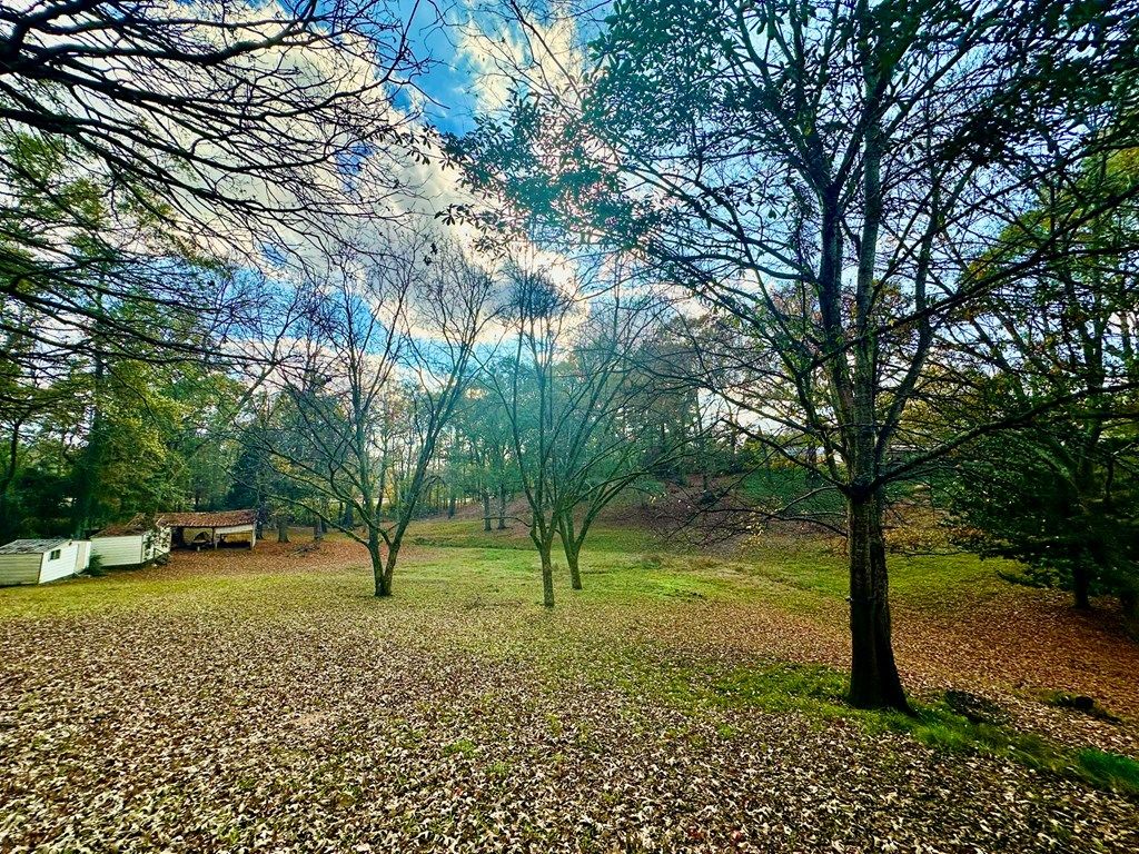 Photo of 904 Cleveland Avenue, OXFORD, MS 38655 (MLS # 162172)