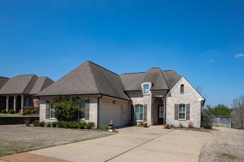 Photo of 357 Windsor Drive N, OXFORD, MS 38655 (MLS # 166982)