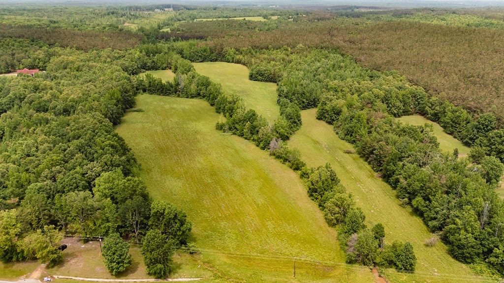 Photo of 14456 Hwy 6, THAXTON, MS 38871 (MLS # 167332)