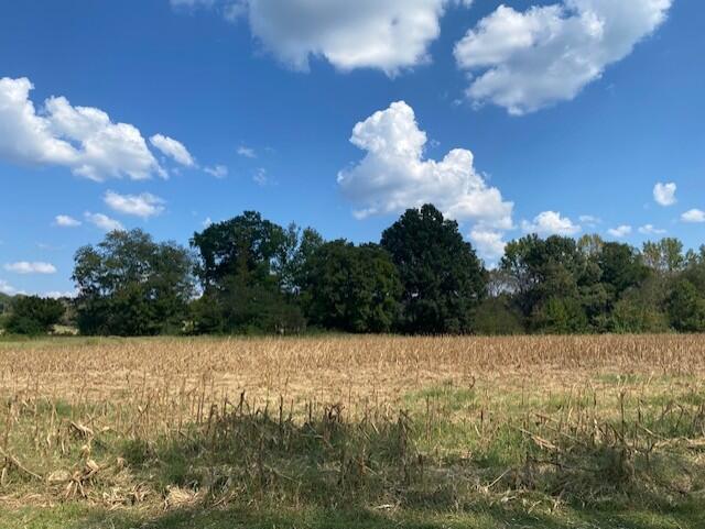 Photo of COLDWATER, MS 38618 (MLS # 168501)