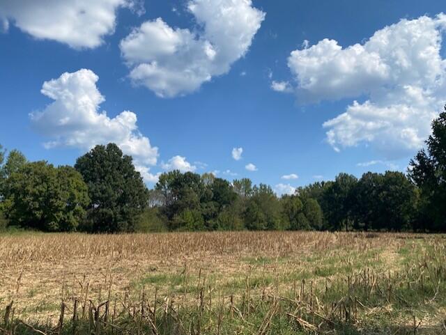 Photo of COLDWATER, MS 38618 (MLS # 168501)