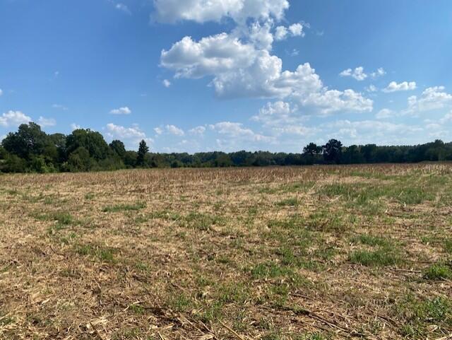 Photo of COLDWATER, MS 38618 (MLS # 168501)