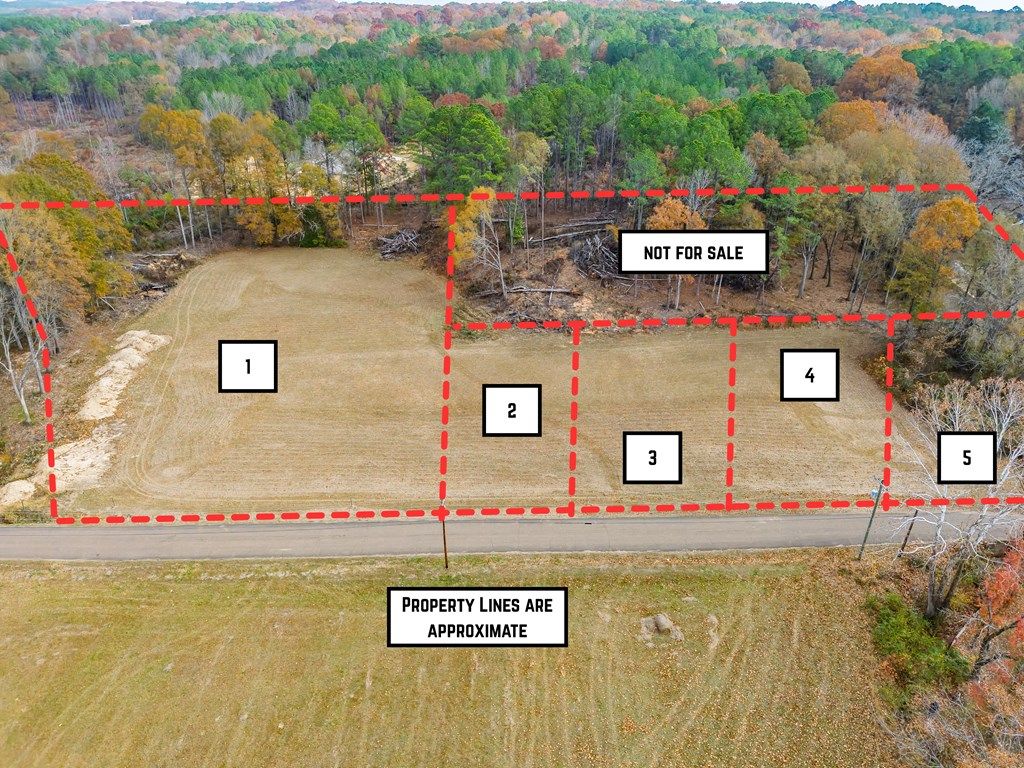 Photo of Lot 4 0.326 ac Boyd Street, WATER VALLEY, MS 38965 (MLS # 162182)