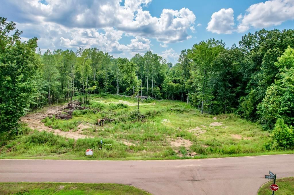 Photo of 349 Winners Circle, OXFORD, MS 38655 (MLS # 164611)