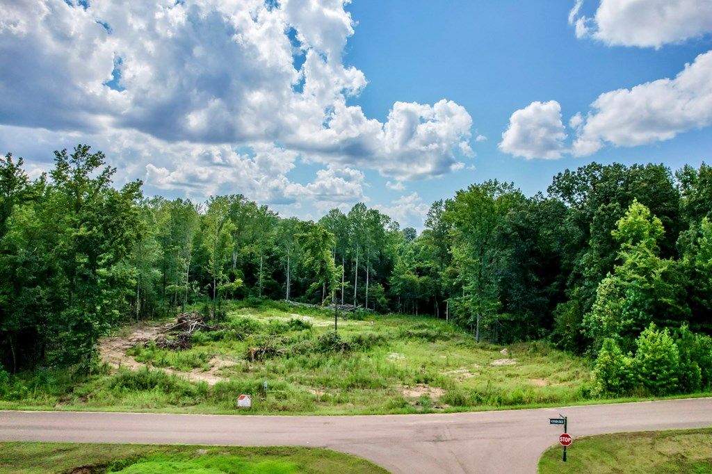 Photo of 349 Winners Circle, OXFORD, MS 38655 (MLS # 164611)