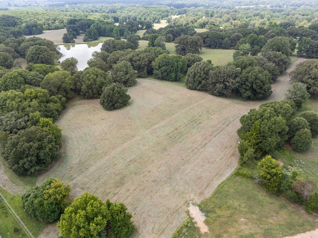 Photo of COLDWATER, MS 38618 (MLS # 168142)