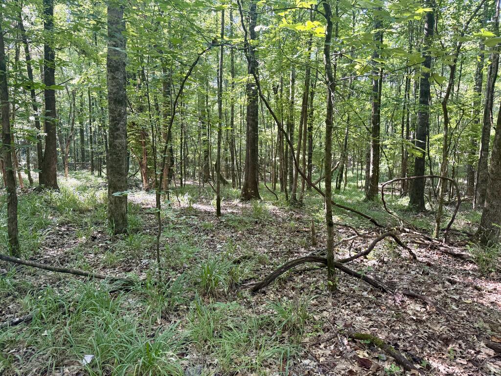 Photo of GRENADA, MS 38901 (MLS # 168192)