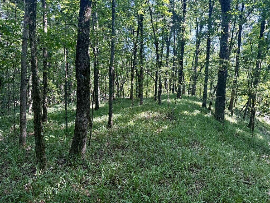 Photo of GRENADA, MS 38901 (MLS # 168192)