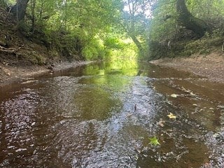 Photo of 858 Hwy 331, PARIS, MS 38949 (MLS # 167835)