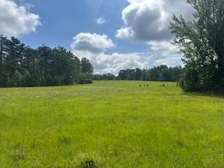 Photo of 858 Hwy 331, PARIS, MS 38949 (MLS # 167835)