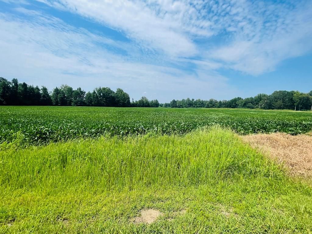 Photo of TBD Cr 428, OXFORD, MS 38655 (MLS # 167153)