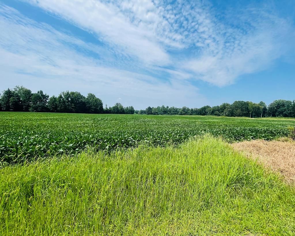 Photo of TBD Cr 428, OXFORD, MS 38655 (MLS # 167153)