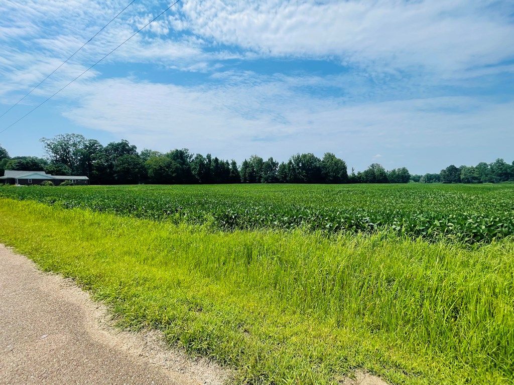 Photo of TBD Cr 428, OXFORD, MS 38655 (MLS # 167153)