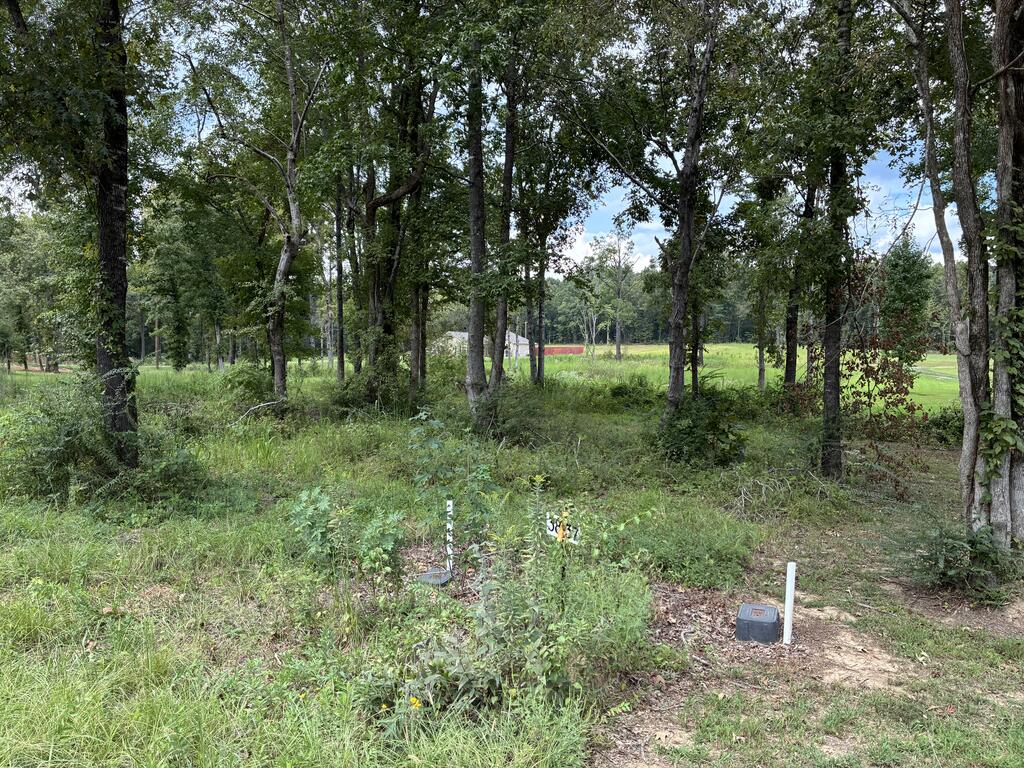 Photo of MYRTLE, MS 38650 (MLS # 168475)