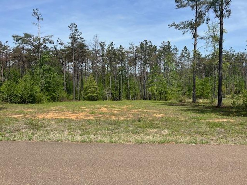 Photo of TBD Cr 411, OXFORD, MS 38655 (MLS # 167132)