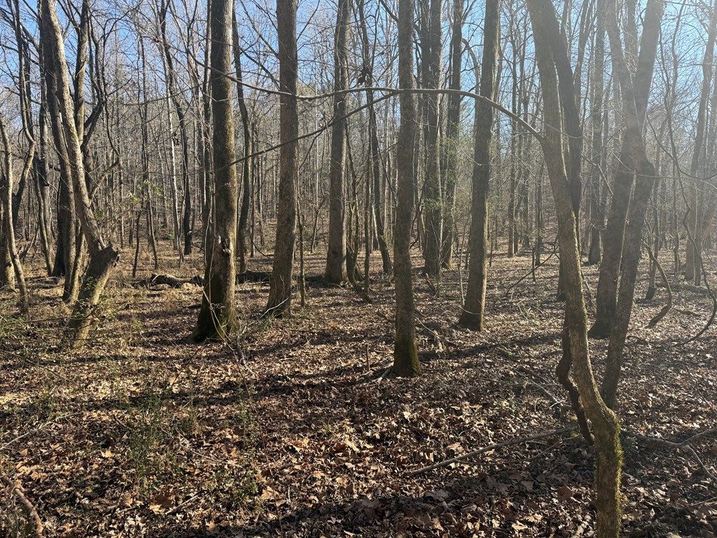 Photo of 00 Cr 127, ABBEVILLE, MS 38601 (MLS # 167263)