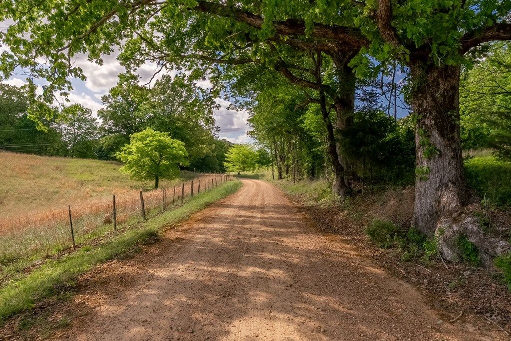 Photo of 000 Hankins Road, OTHER, MS 38665 (MLS # 167221)