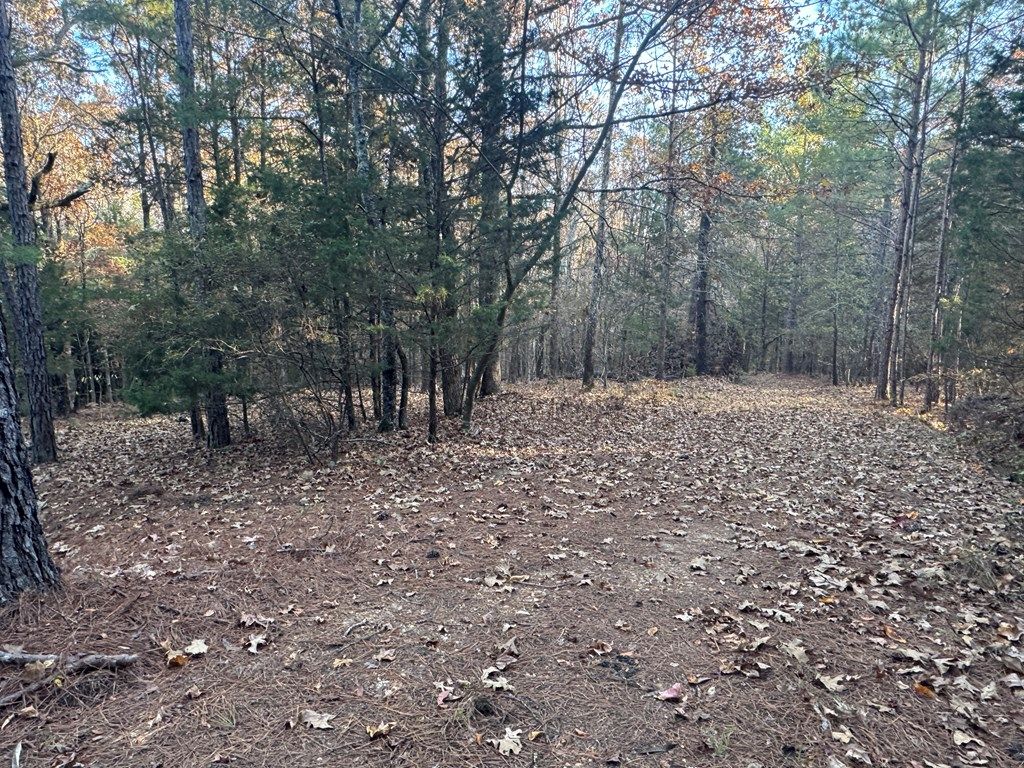 Photo of 00 Cr 311, OXFORD, MS 38655 (MLS # 162155)