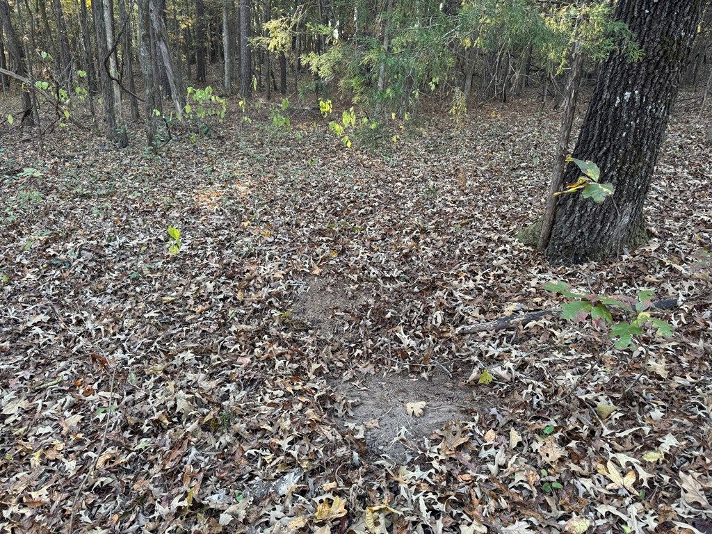 Photo of 00 Cr 311, OXFORD, MS 38655 (MLS # 162155)