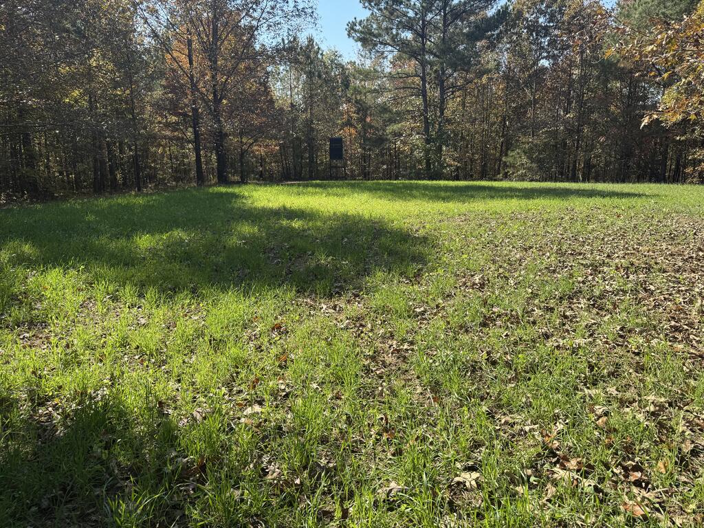 Photo of WATERFORD, MS 38685 (MLS # 168413)
