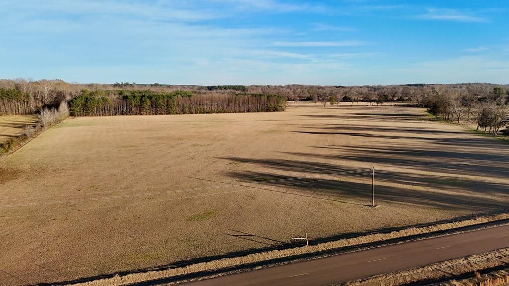 Photo of 00 Hwy 331, BRUCE, MS 38915 (MLS # 162275)