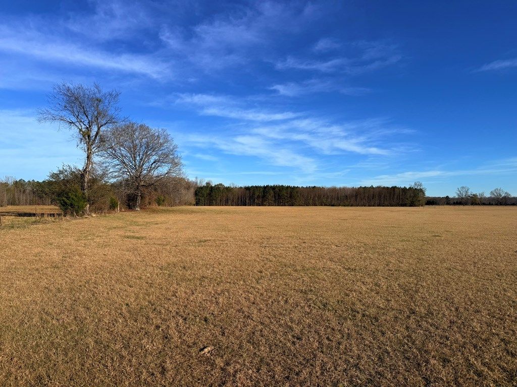 Photo of 00 Hwy 331, BRUCE, MS 38915 (MLS # 162275)