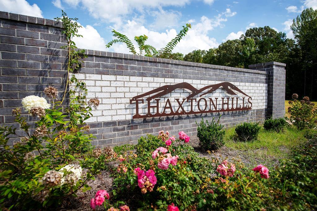 Photo of 170 Thaxton Hills Dr, THAXTON, MS 38871 (MLS # 167466)