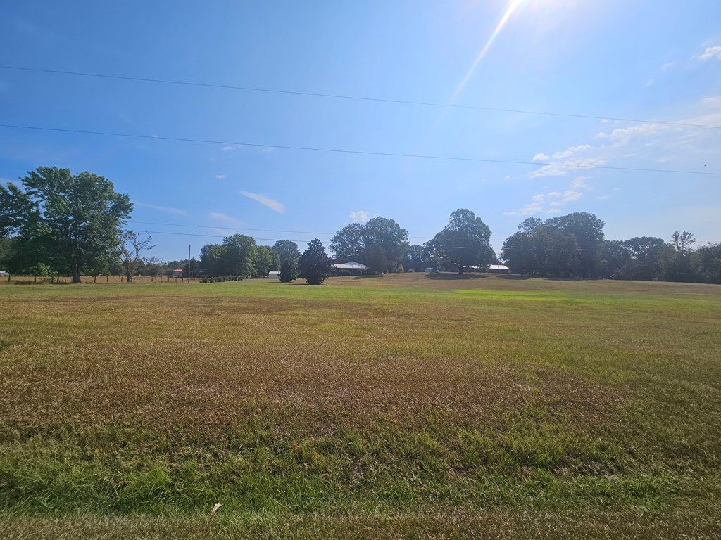 Photo of 3876 Bett Thyatira Road, COLDWATER, MS 38618 (MLS # 161651)