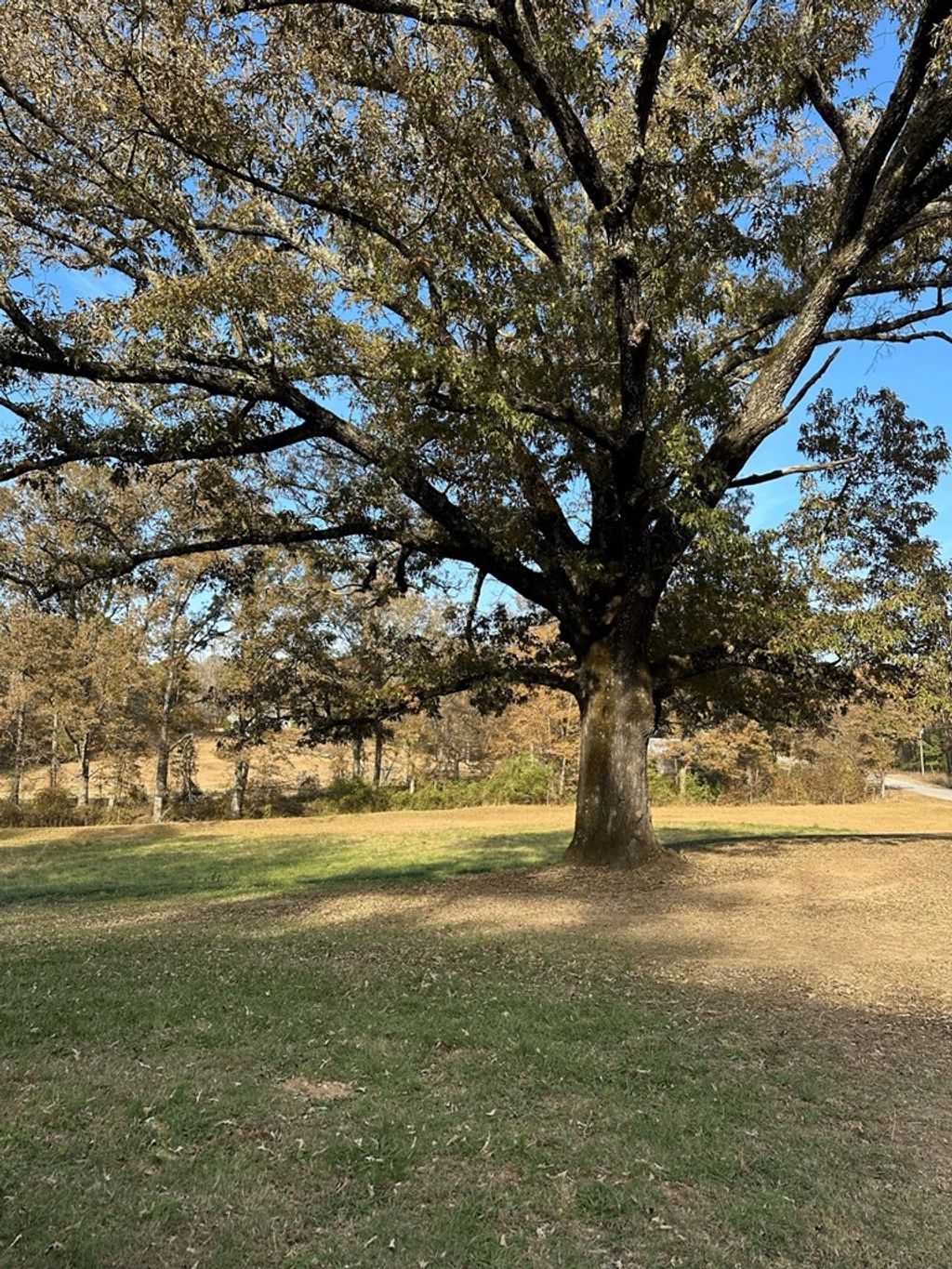 Photo of 248 Cr 376, WATER VALLEY, MS 38965 (MLS # 162136)