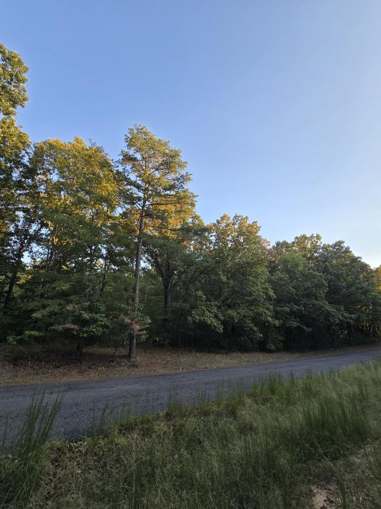 Photo of COFFEEVILLE, MS 38922 (MLS # 168474)