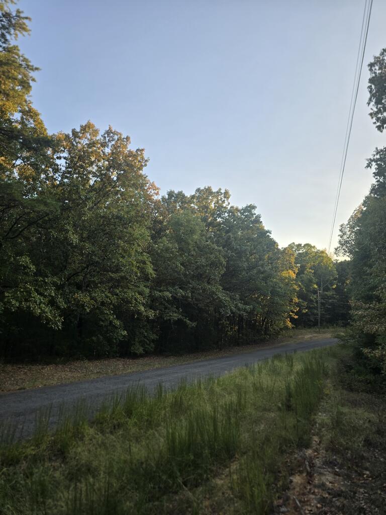 Photo of COFFEEVILLE, MS 38922 (MLS # 168474)