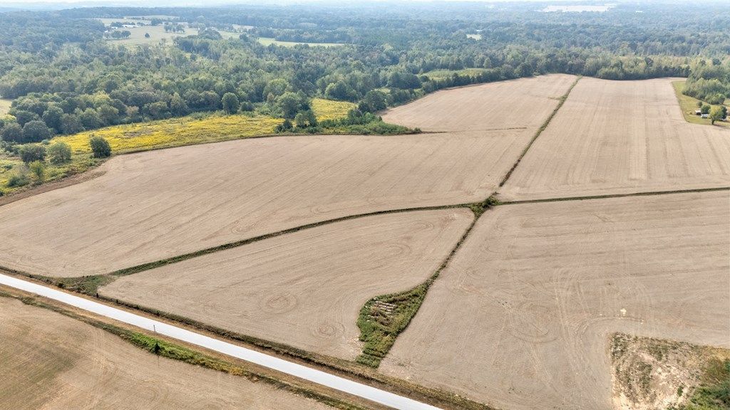 Photo of 123456 County Road 208, ABBEVILLE, MS 38601 (MLS # 164568)