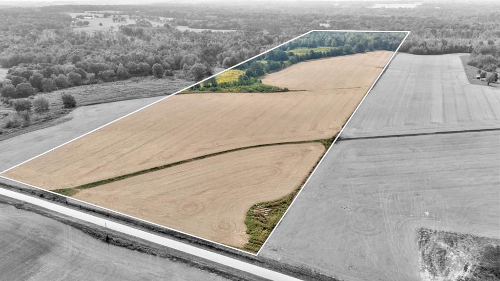 Photo of 123456 County Road 208, ABBEVILLE, MS 38601 (MLS # 164568)