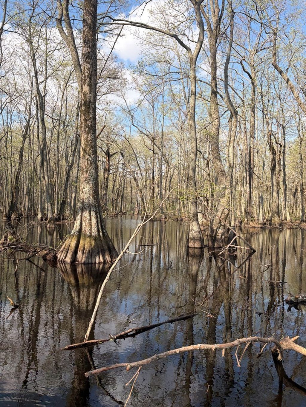 Photo of 000 County Road 420, OTHER, MS 38944 (MLS # 166998)