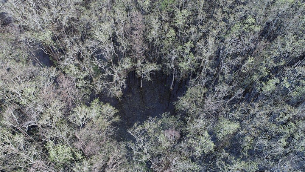 Photo of 000 County Road 420, OTHER, MS 38944 (MLS # 166998)