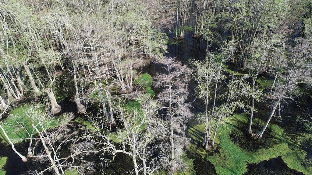 Photo of 000 County Road 420, OTHER, MS 38944 (MLS # 166998)